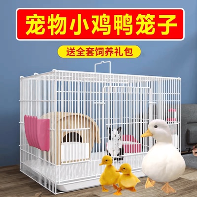 育雏窝柯尔鸭笼宠物笼子家用室内