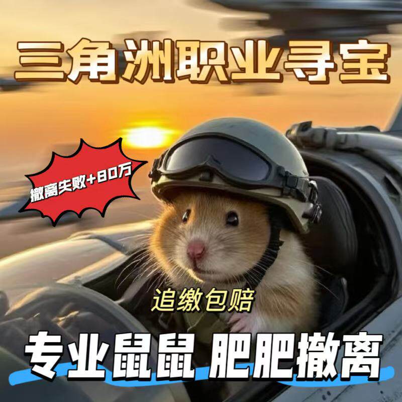 三角洲行动监狱雷达寻宝PC端赌大红金全程陪跑勇敢者海洋之泪非洲