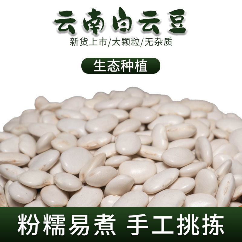 云南白芸豆2斤老品种高原生态种植粉糯易煮阻断碳膳食白云豆种子