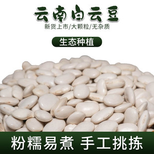 云南白芸豆2斤老品种高原生态种植粉糯易煮阻断碳膳食白云豆种子