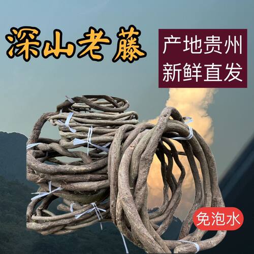 新鲜泡水藤条缠绕装饰树