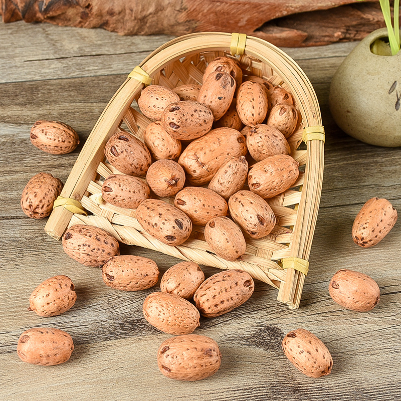 高品质五眼果四眼果山枣树鼻涕果五眼六通菩提子