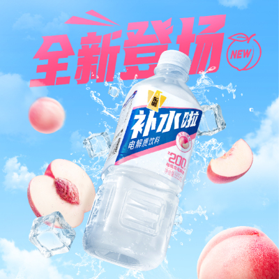 东鹏补水啦555ml*8瓶运动补盐液