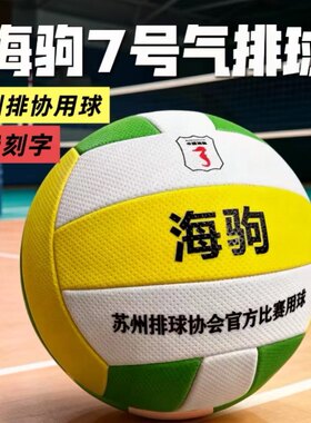 顺丰当天发海驹气排球苏州气排协会用球V7比赛EVA粉色绿色HJ-Q901
