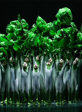 第十三届小荷风采绿豆芽舞蹈演出服绿色连体裤渐变色套装表演服