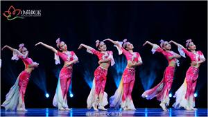 第十二届小荷风采我们的美丽家园舞蹈演出服鱼大海环保表演出