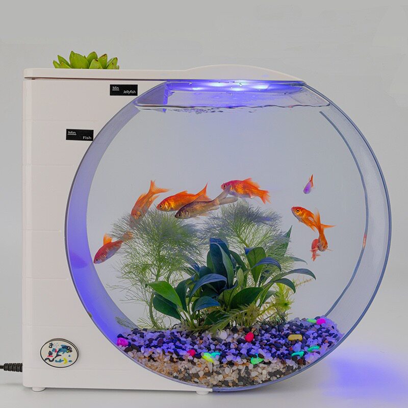 桌面鱼缸迷你水母鱼缸多功能电子水母缸新款水族馆生态鱼缸小鱼缸