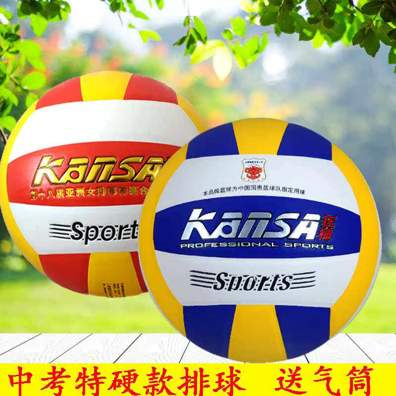Ballon de volley-ball - Ref 2010057 Image 1