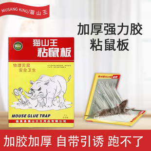强力粘鼠板捉大老鼠贴正品超厚新款家用高引诱胶沾抓灭鼠捕鼠神器