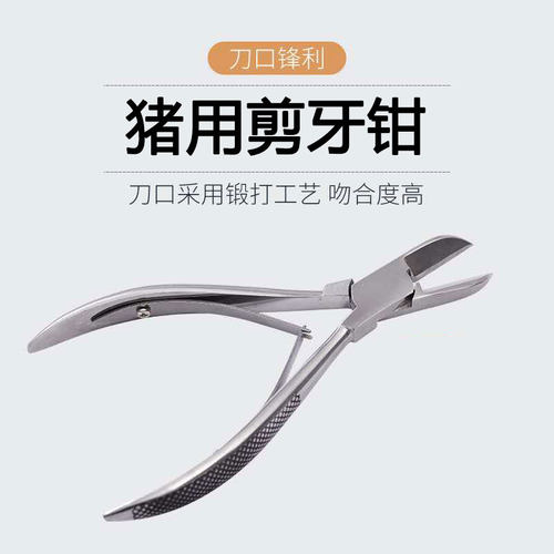 仔猪不锈钢剪牙钳断牙钳