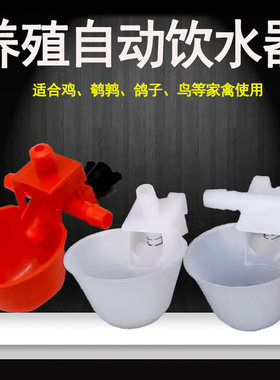 鸽子自动饮水碗鹌鹑鸟水杯喂水器育雏鸡鸭鹅鹌鹑鸟用喝水鸽笼用具