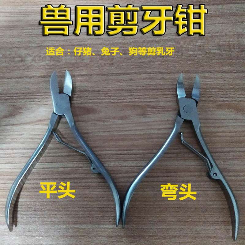 小猪不锈钢剪牙钳 猪用器械兔仔猪剪齿钳 断牙钳猪场养猪设备器械