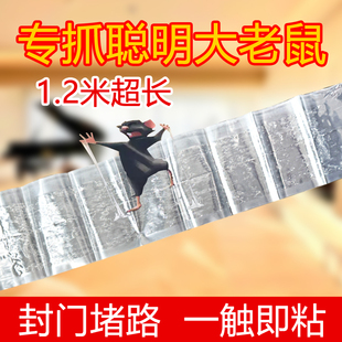 隐形灭鼠神器强力粘鼠板强劲胶粘大老鼠粘板家用捕鼠透明粘鼠毯