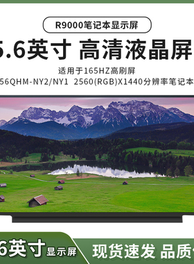 R9000笔记本屏幕NE156QHM-NY2 NY1 NY4 2K分辨率165HZ高刷屏分销