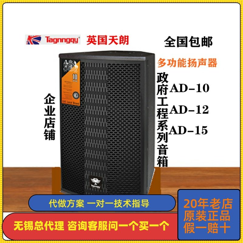天朗专用系列AD10礼堂会议室歌舞厅宴会厅专业政府工程大功率音箱