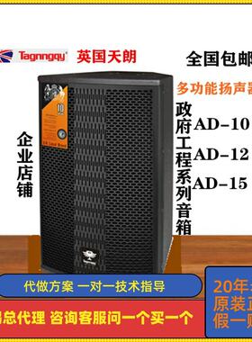 天朗专用系列AD10礼堂会议室歌舞厅宴会厅专业政府工程大功率音箱