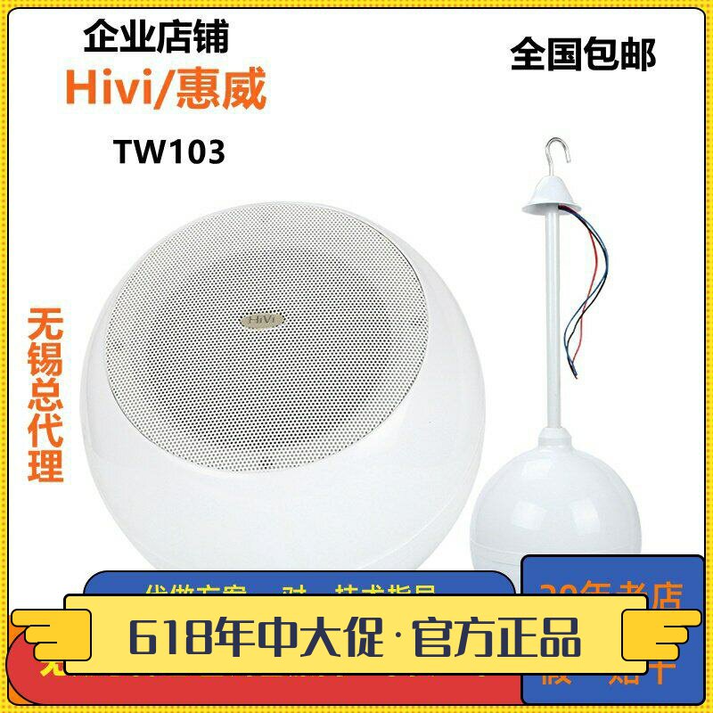 Hivi/惠威 TW103吊球音响咖啡厅背景音乐吊挂音箱定压悬挂式喇叭