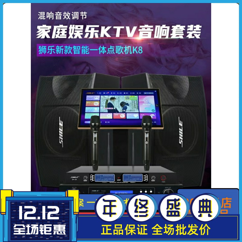 狮乐会议室音响功放套装组合KTV家庭卡拉OK培训课室舞蹈室壁挂音