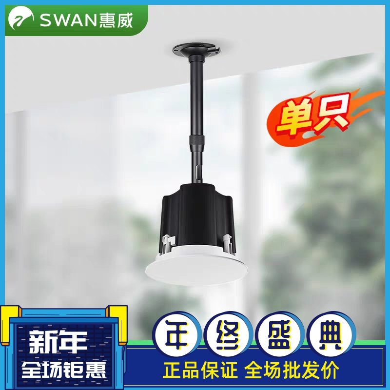 惠威高端明装吸顶喇叭市内免开孔悬挂式店铺背景音乐专用HiFi音响