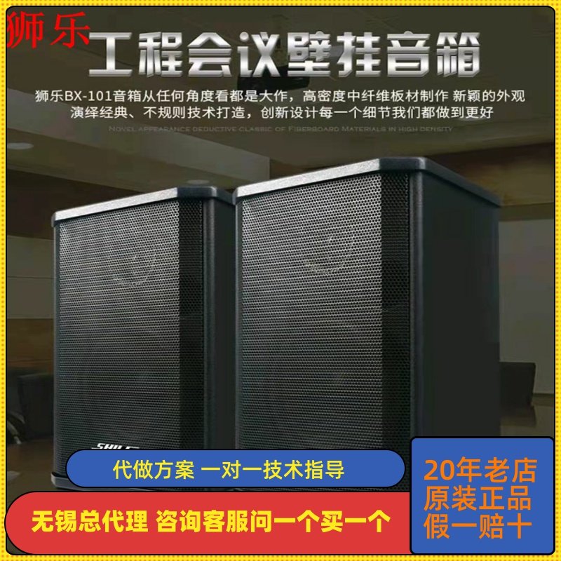 狮乐AV6612B BX101会议室音响组合套装定阻商铺背景音乐壁挂音箱