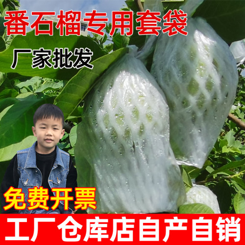 加厚番石榴套袋工厂直供质量保证