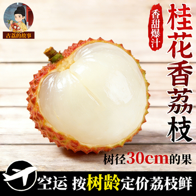 按树龄定价鲜荔枝桂花香荔枝