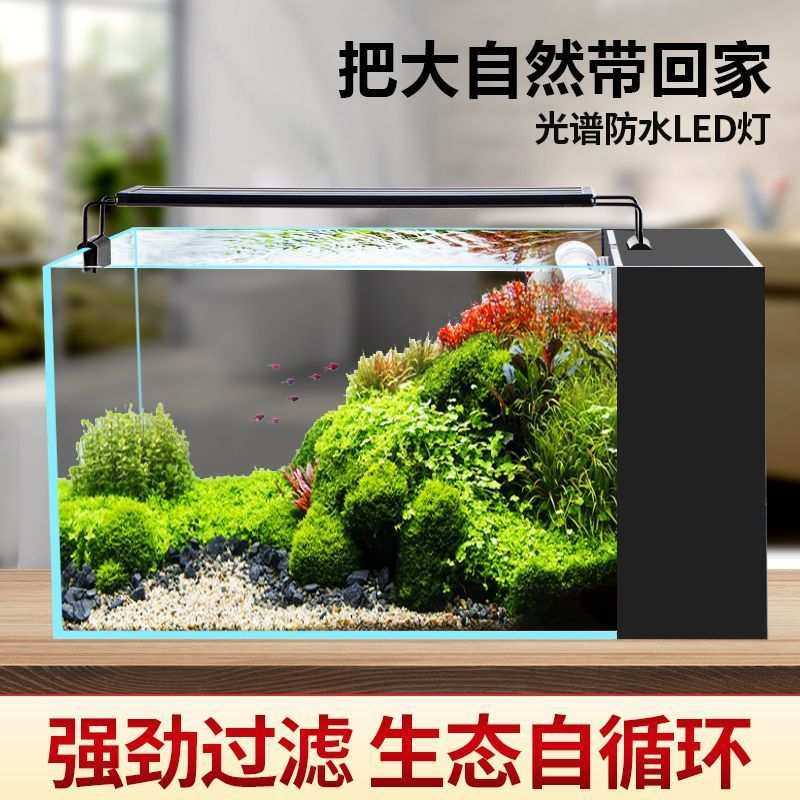 客厅小型鱼缸家用免换水金鱼缸净水循环三合一超白玻璃侧滤桌面缸,鲜花速递/花卉仿真/绿植园艺,其它园艺用品,淘宝优惠券,粉丝福利购,淘宝优惠卷