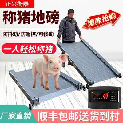 正兴衡器防遥控称猪电子秤抓猪笼1吨小地磅双坡道移动畜牧电子秤