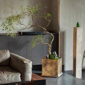 中式 侘寂风落地大花盆大口径镁泥正方形龟背竹花盆轻奢高级感客厅