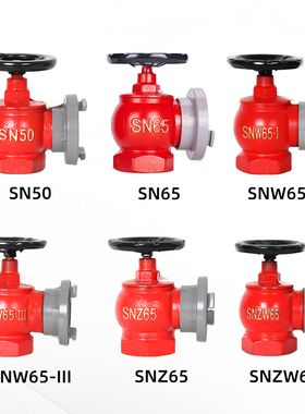 室内消火栓接头SN65三铜旋转减压稳压水带阀门2.5寸SNW65-I消防栓
