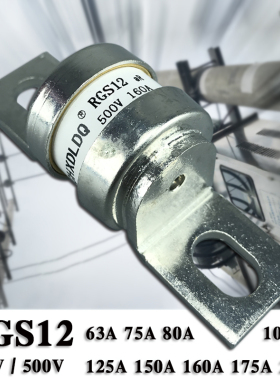 RGS12 螺栓连接式熔断体 100A120A150A160A175A快速熔断器保险丝