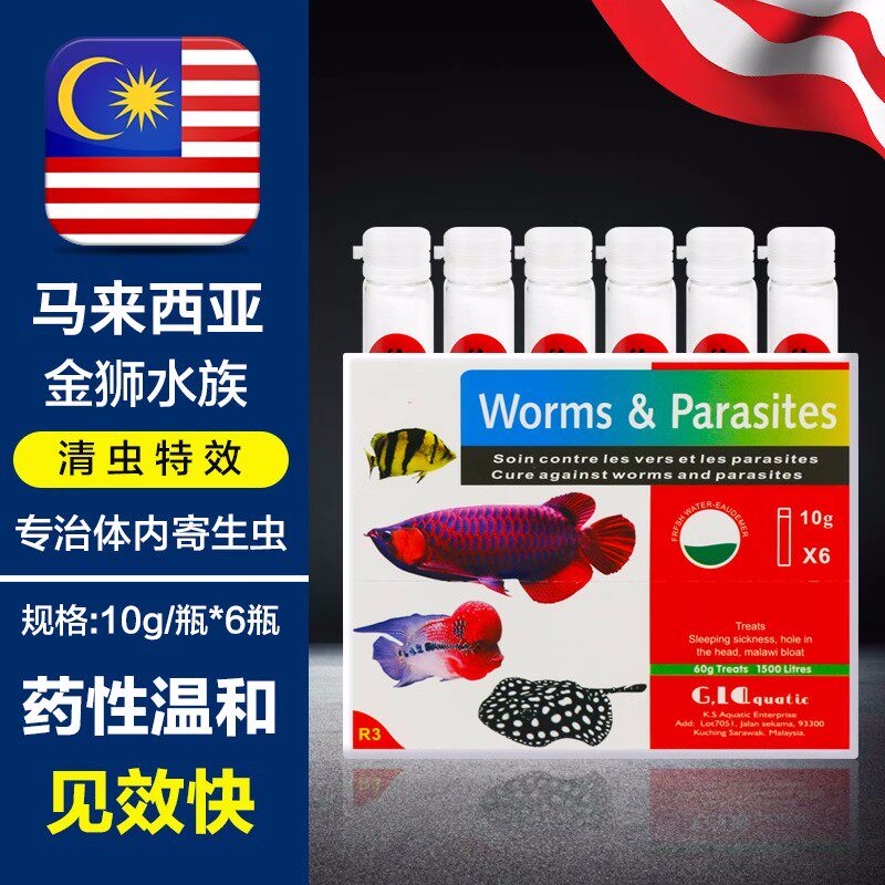 马来西亚金狮鱼药清虫特效体内寄生虫头洞肠炎厌食白便腹涨鱼变黑