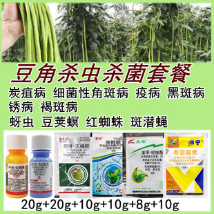 豆角菜豆四季豆专用 农药套餐锈病炭疽病角斑病褐斑病蚜虫豆夹螟