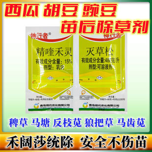 青岛现代神行者 精喹禾灵灭草松西瓜田豌豆地胡豆苗后专用除草剂