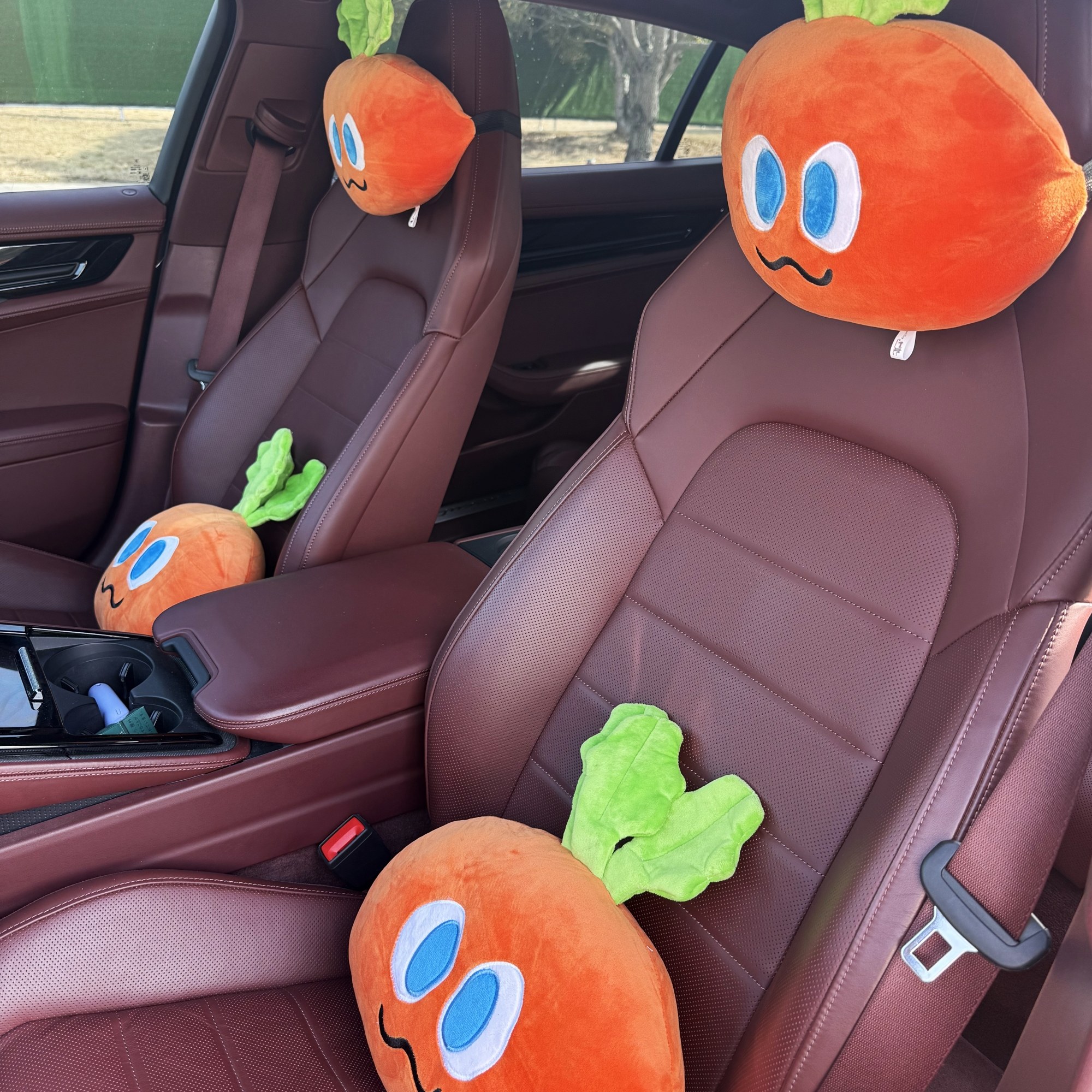 五月天萝卜汽车舒适头枕沙发抱枕毛绒弹力家居靠垫腰枕飘窗垫坐垫,汽车用品/电子/清洗/改装,头枕,淘宝优惠券,粉丝福利购,淘宝优惠卷