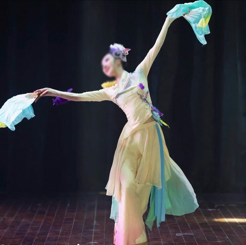 古典舞演出服女飘逸春意枝头闹舞蹈服装剧目艺考秧歌服扇子舞套装