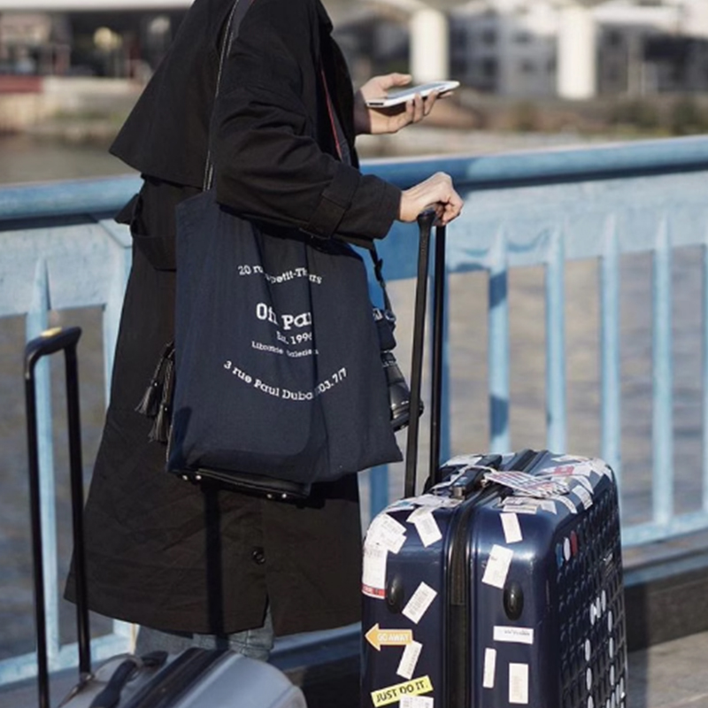 小众简约单肩包通勤帆布手提包女