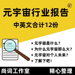 中英文元宇宙Metaverse行业报告合计 行业研究报告