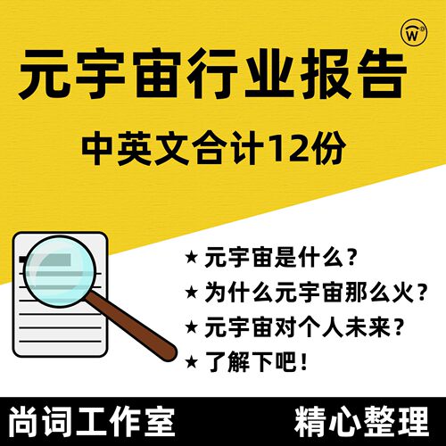 中英文元宇宙Metaverse行业报告合计 行业研究报告