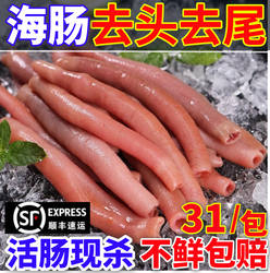 新鲜海肠鲜活海肠子急冻海肠皮烟台沙虫海鲜水产三去免处理200克