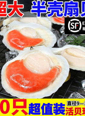 冷冻半壳夏夷贝超大扇贝烧烤