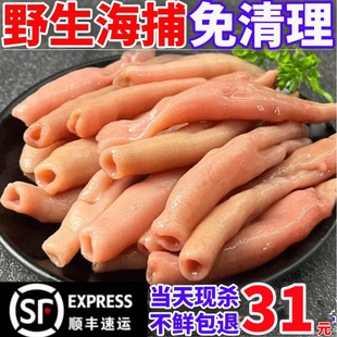海肠新鲜速冻鲜活沙虫海捕海肠皮1000克葱油海肠捞饭海鲜水产商用