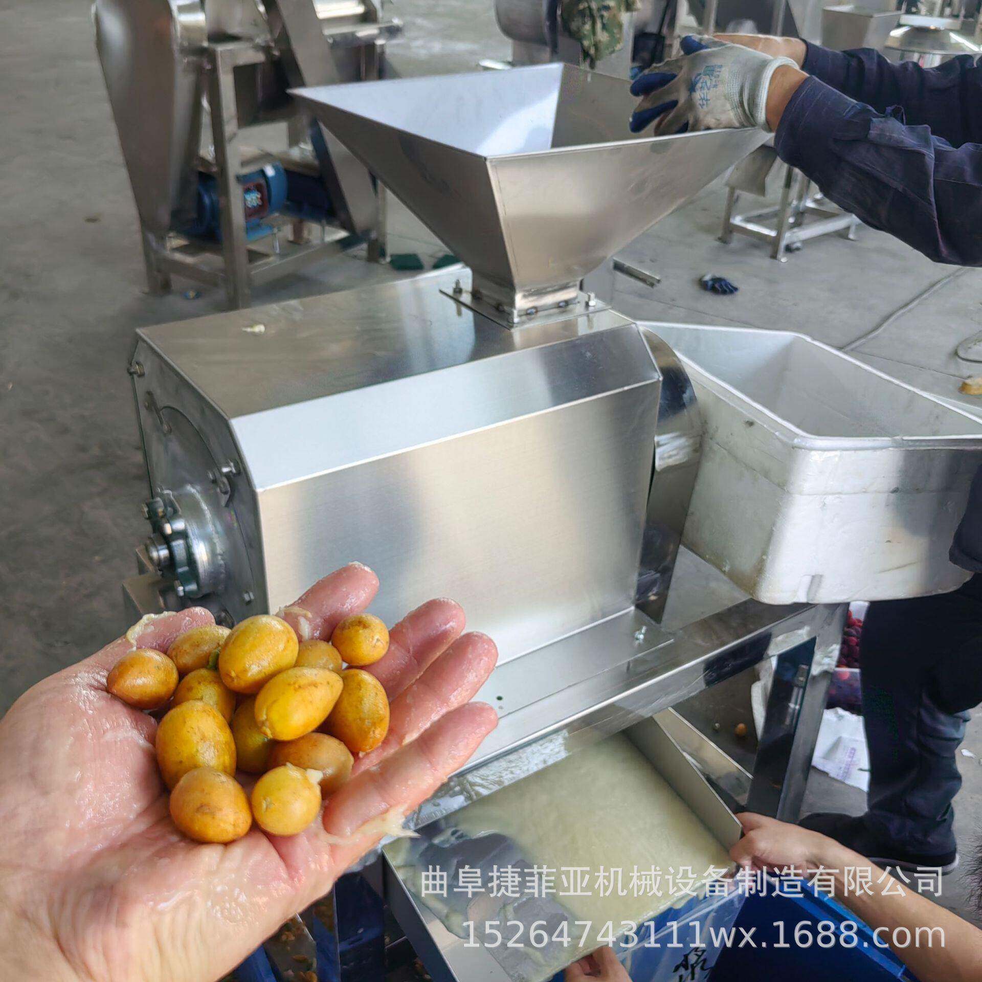 水果打浆去核设备橄榄樱桃木瓜去核打浆机菠菜养心菜果蔬打泥机