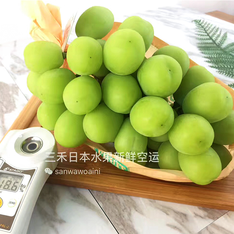 三禾 日本新鲜空运香印青提 翠玉提子葡萄 绿提 XXXL600g/串 顺丰