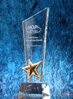 新款大气水晶销售冠军奖杯金属奖牌定制定做五角星优秀员工颁年会