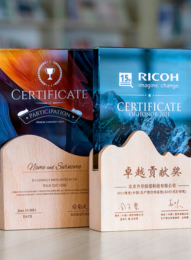 实木方体彩印水晶奖杯定制创意奖杯定做员工荣誉证书周年庆纪年会