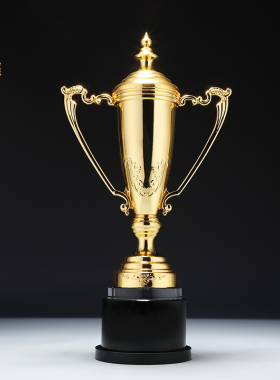 金杯金属奖杯水晶定制创意企业团队优秀员工创意颁奖礼品制作年会