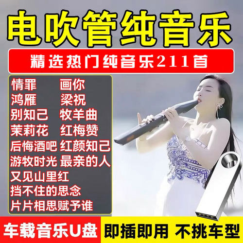 网红浪漫电吹管纯音乐U盘网红电吹管车载音乐高品质优盘MP3立体声