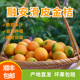 3斤家庭装 4斤礼盒独立包装 顺丰 匠桔广西融安金桔滑皮金桔 包邮