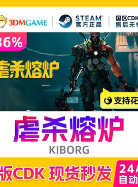 Steam正版激活码 虐杀熔炉 KIBORG 国区现货 CDKEY秒发